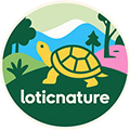 Lotic Logo